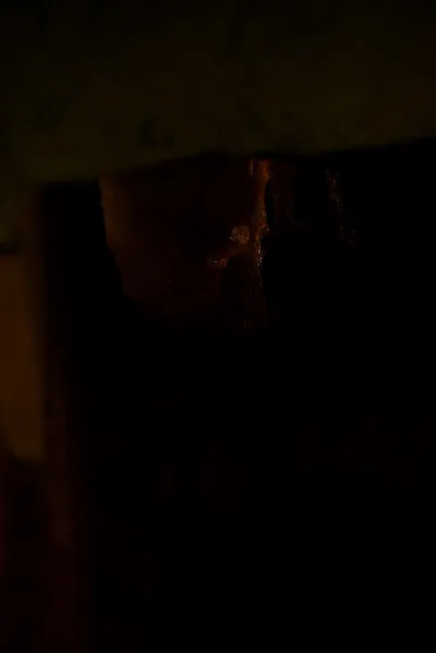 DSC_2630 (Large).JPG